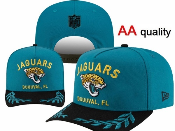 NFL Snapbacks(1)-0055