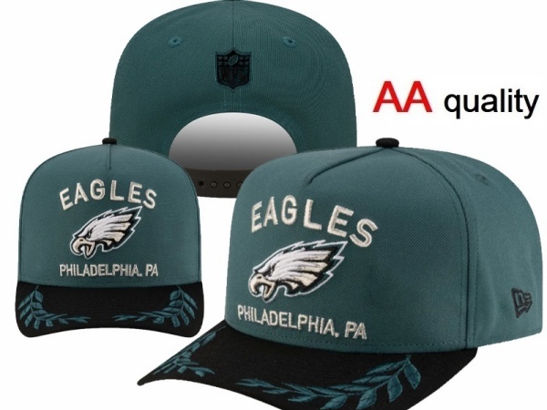 NFL Snapbacks(1)-0070