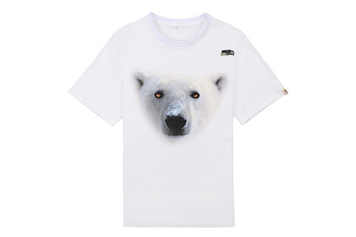 NFL T-shirt-M(10)-264