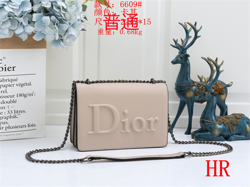 Dior small bag-0008