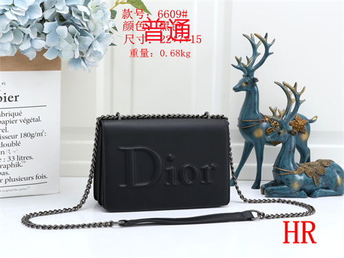 Dior small bag-0010