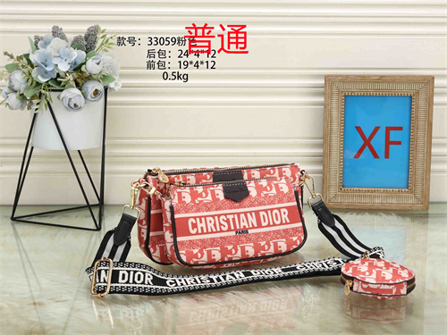 Dior small bag-0023