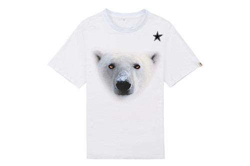 NFL T-shirt-M(10)-092