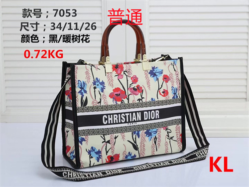 Dior bag-0024