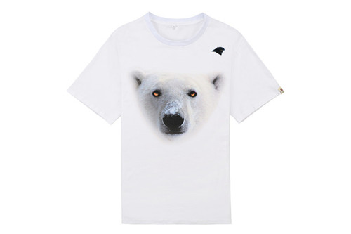 NFL T-shirt-M(10)-290