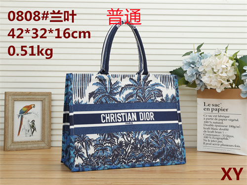 Dior bag-0025