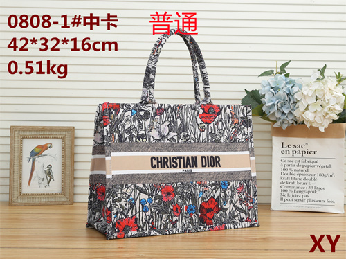 Dior bag-0032