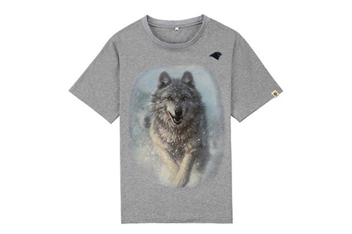 NFL T-shirt-M(10)-300