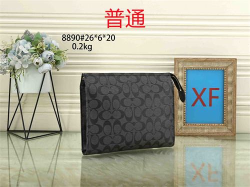 Coach small bag-0020