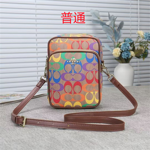 Coach small bag-0025