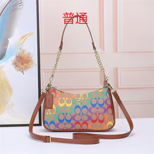 Coach small bag-0029