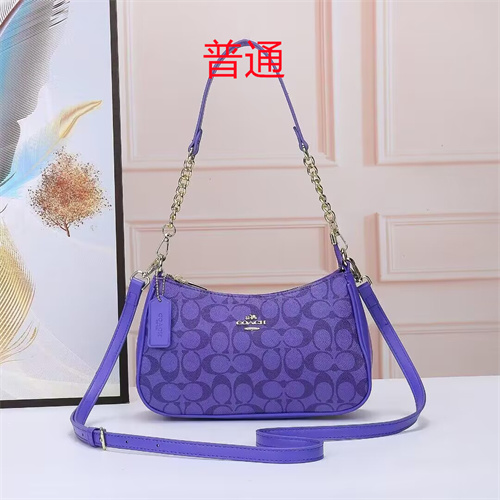 Coach small bag-0033
