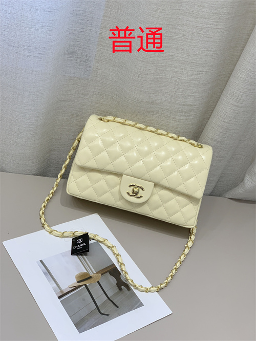 Chanel bag-0015