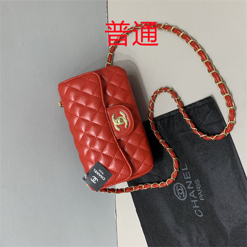 Chanel bag-0024