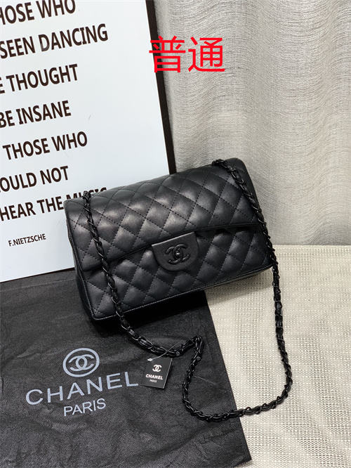 Chanel bag-0029