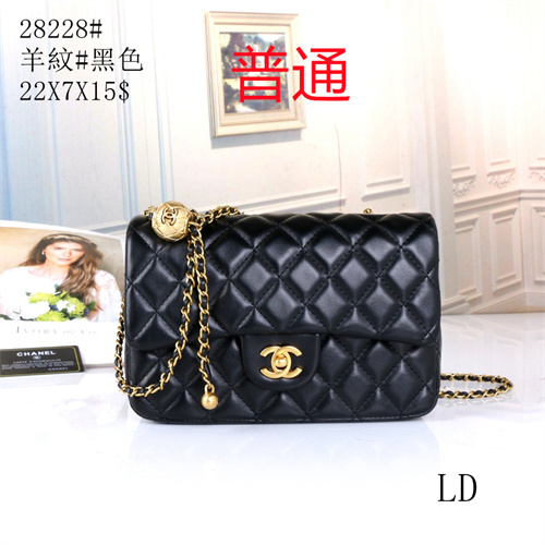 Chanel bag-0046