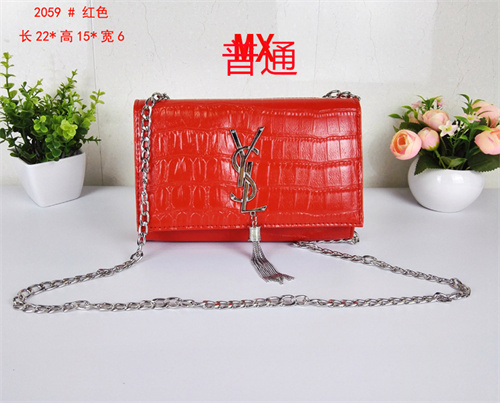 YSL small bag-0006