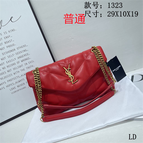 YSL small bag-0024