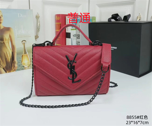 YSL small bag-0037