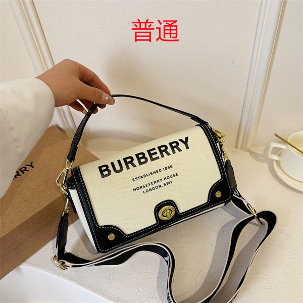 Buberry small bag-0020