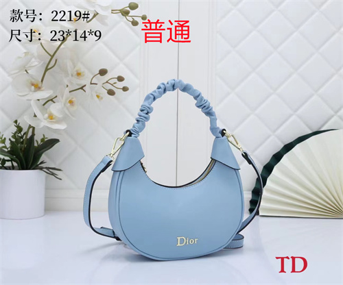 Dior small bag-0041