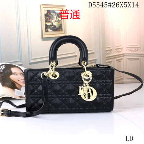 Dior small bag-0049