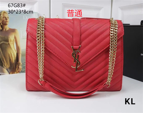 YSL bag-0020