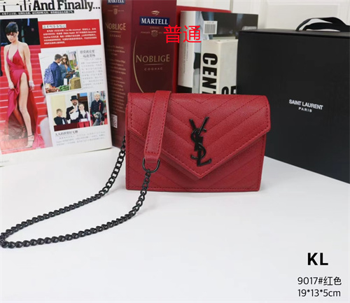 YSL small bag-0103