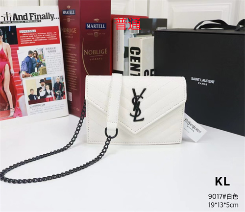 YSL small bag-0104