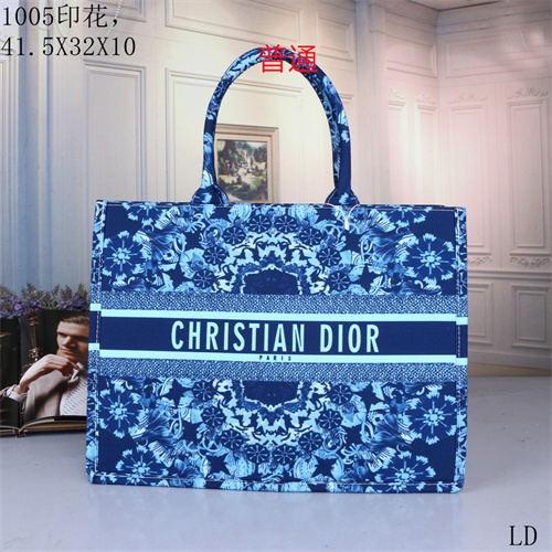 Dior bag-0052