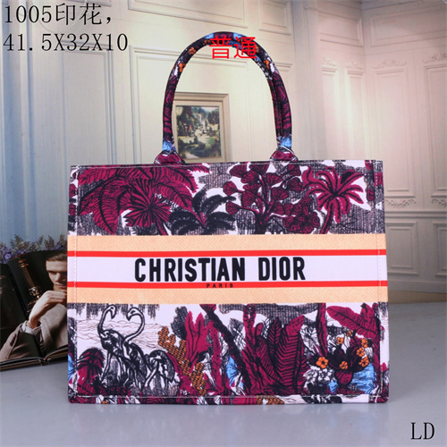 Dior bag-0059