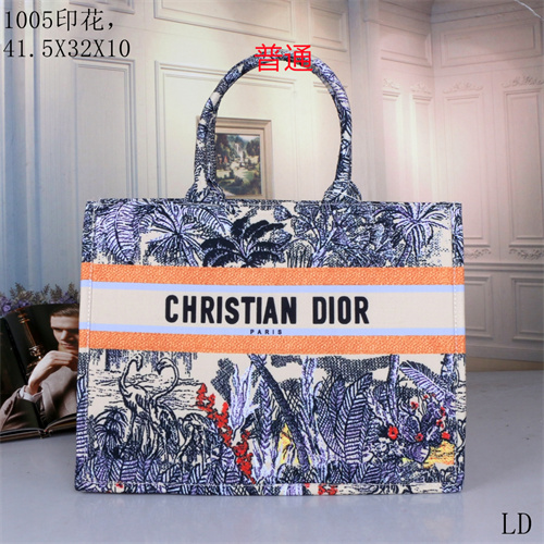 Dior bag-0063