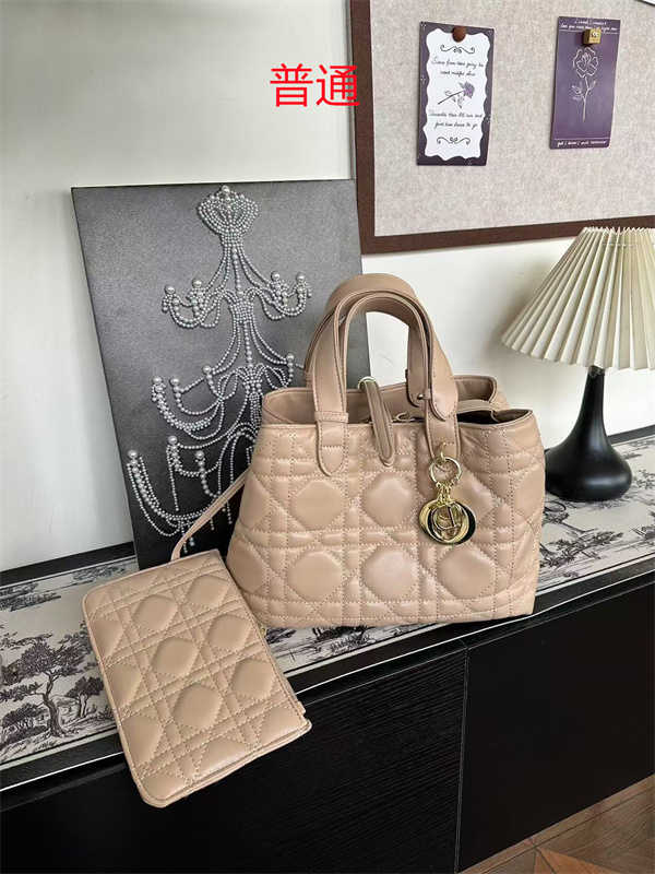 Dior bag-0106