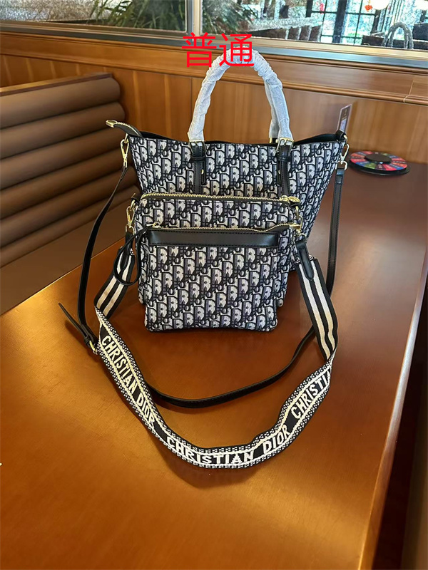 Dior bag-0112