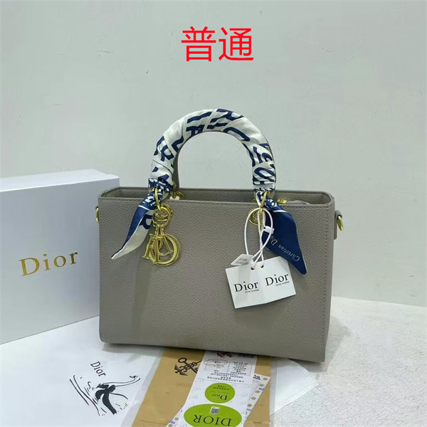 Dior bag-0115