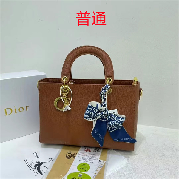 Dior bag-0117