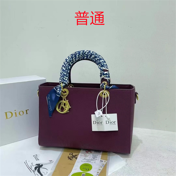 Dior bag-0118