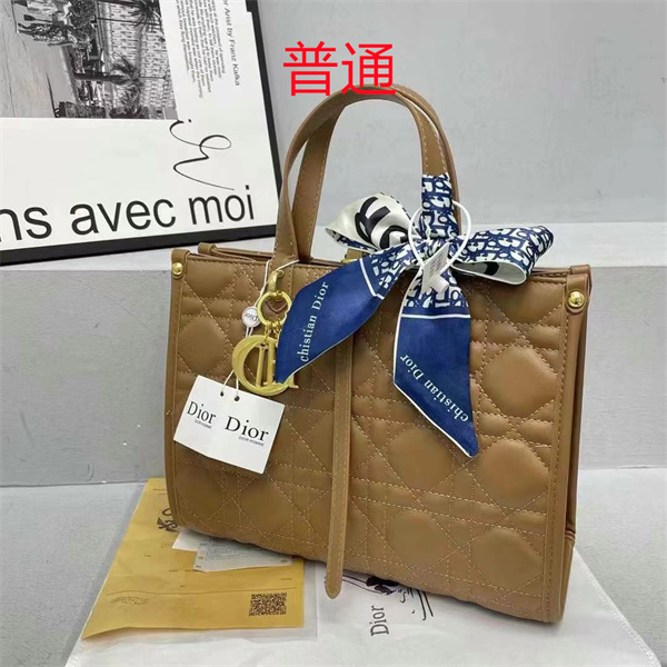 Dior bag-0124