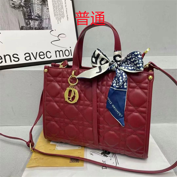 Dior bag-0125