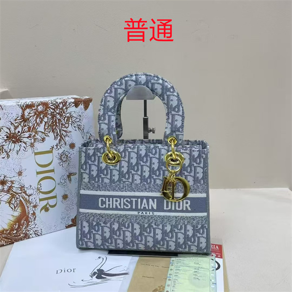 Dior bag-0157