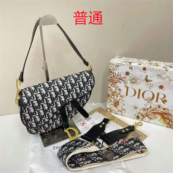 Dior bag-0159