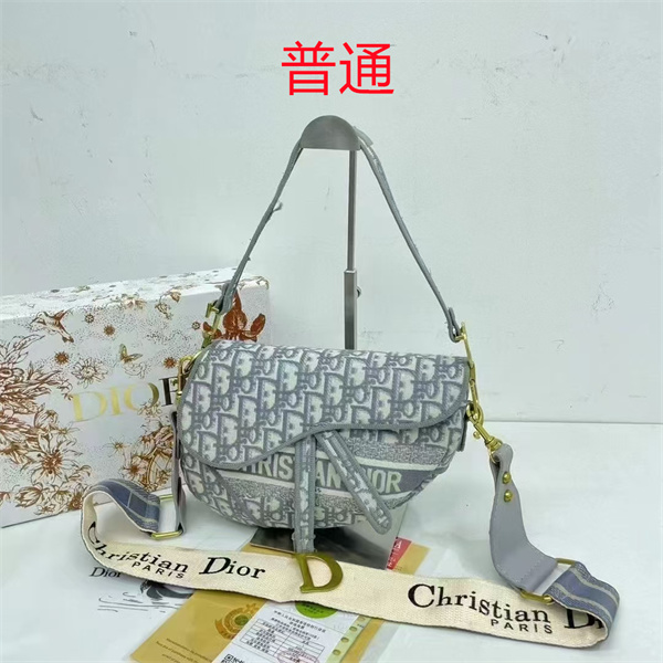 Dior bag-0163