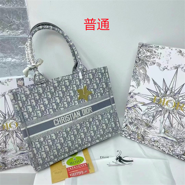 Dior bag-0172