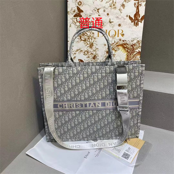 Dior bag-0181