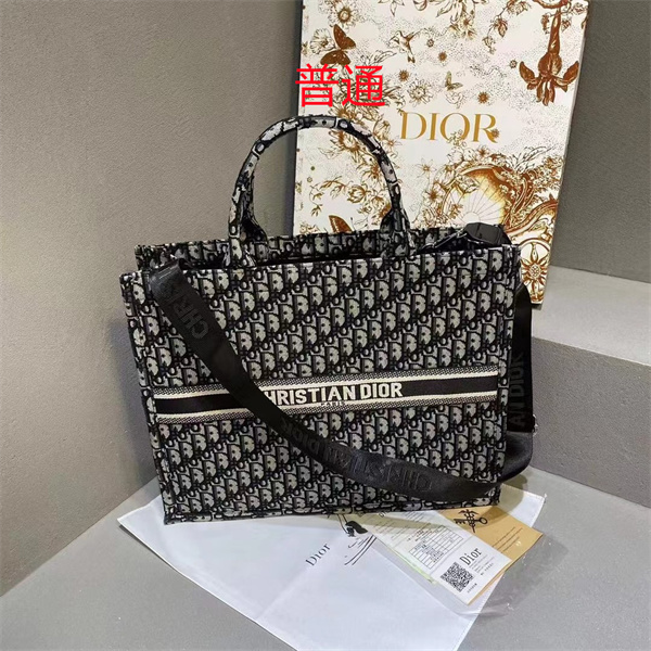 Dior bag-0183