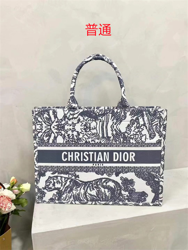 Dior bag-0185
