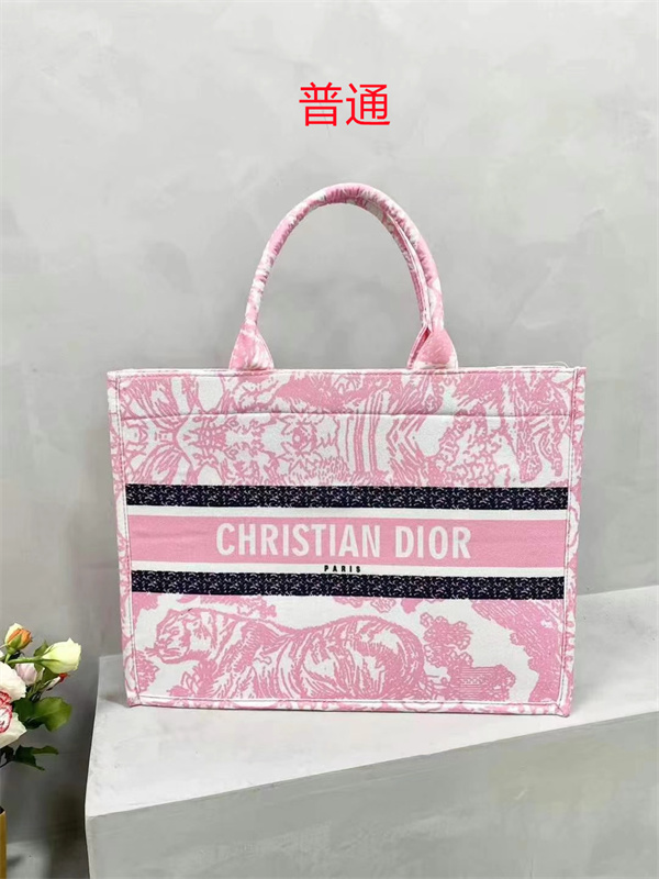 Dior bag-0189