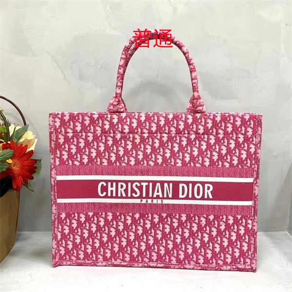 Dior bag-0192