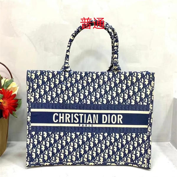 Dior bag-0194