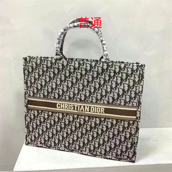 Dior bag-0197